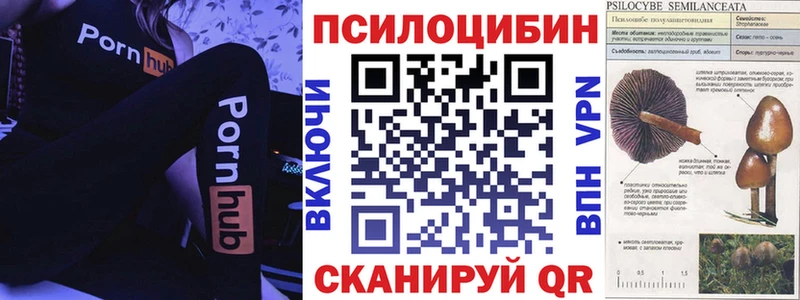 где можно купить   ссылка на мегу как войти  Псилоцибиновые грибы мухоморы  Алупка 